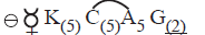 Morphology of Flowering Plants mcq option image