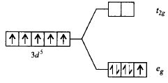 Co-ordination Compounds mcq option image
