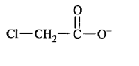 General Organic Chemistry mcq option image