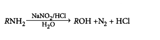 Organic Compounds Containing Nitrogen mcq option image
