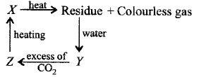 S - Block Elements mcq question image