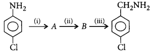 Organic Compounds Containing Nitrogen mcq question image