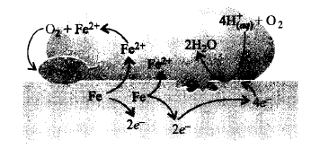 Electrochemistry mcq question image