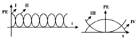 Simple Harmonic Motion (SHM) mcq question image