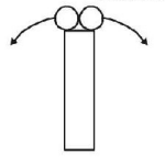 Kinematics mcq question image