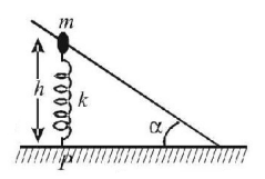 Work Energy and Power mcq question image
