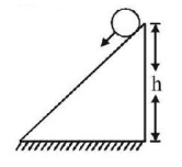 Rotational Motion mcq question image