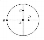 Rotational Motion mcq question image