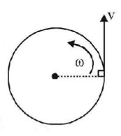 Rotational Motion mcq question image