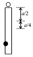Rotational Motion mcq question image