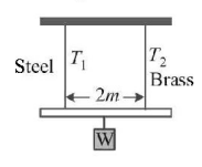 Mechanical Properties of Solids and Fluids mcq question image