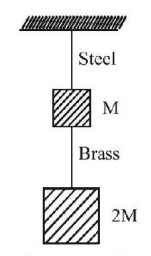 Mechanical Properties of Solids and Fluids mcq question image