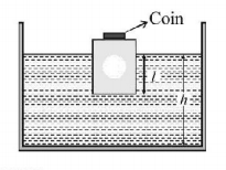 Mechanical Properties of Solids and Fluids mcq question image