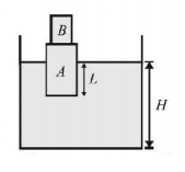 Mechanical Properties of Solids and Fluids mcq question image