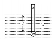 Mechanical Properties of Solids and Fluids mcq question image