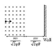 Magnetic Effect of Current mcq question image