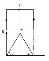 Magnetic Effect of Current mcq question image