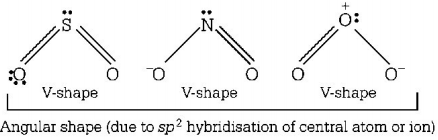 Chemical Bonding and Molecular Structure mcq solution image