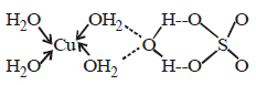 Co-ordination Compounds mcq solution image