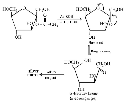 Biomolecules mcq solution image