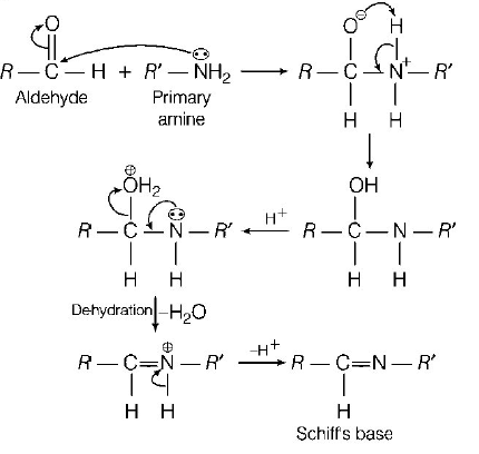 Aldehyde and Ketone mcq solution image