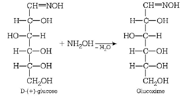 Biomolecules mcq solution image