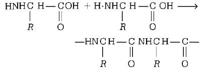 Biomolecules mcq solution image