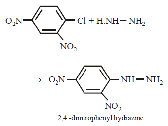 Electrophilic Aromatic Substitution (Haloalkanes and Haloarenes) mcq solution image