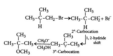 Electrophilic Aromatic Substitution (Haloalkanes and Haloarenes) mcq solution image
