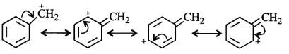 Electrophilic Aromatic Substitution (Haloalkanes and Haloarenes) mcq solution image