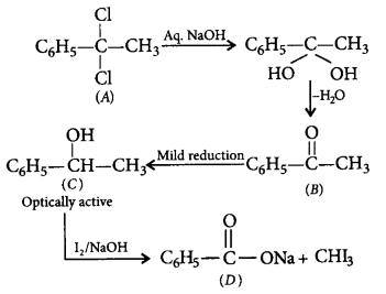 Electrophilic Aromatic Substitution (Haloalkanes and Haloarenes) mcq solution image
