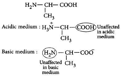 Biomolecules mcq solution image