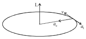 Rotational Motion mcq solution image