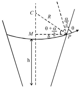 Mechanical Properties of Solids and Fluids mcq solution image