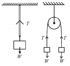 Mechanical Properties of Solids and Fluids mcq solution image