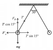 Mechanical Properties of Solids and Fluids mcq solution image