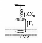 Mechanical Properties of Solids and Fluids mcq solution image