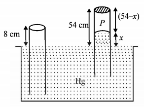 Mechanical Properties of Solids and Fluids mcq solution image