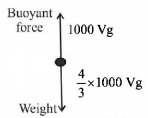 Simple Harmonic Motion (SHM) mcq solution image