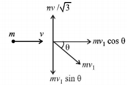 Momentum mcq solution image