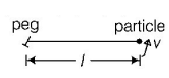 Uniform Circular Motion mcq solution image