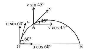 Kinematics mcq solution image