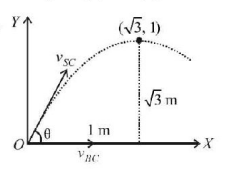 Kinematics mcq solution image
