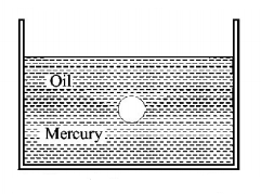 Mechanical Properties of Solids and Fluids mcq solution image