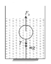 Mechanical Properties of Solids and Fluids mcq solution image