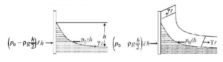 Mechanical Properties of Solids and Fluids mcq solution image