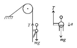 Laws of Motion mcq solution image