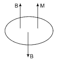 Magnetic Effect of Current mcq solution image