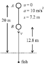 Ray Optics mcq solution image