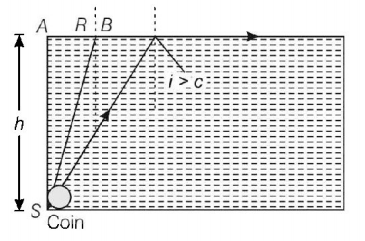 Ray Optics mcq solution image